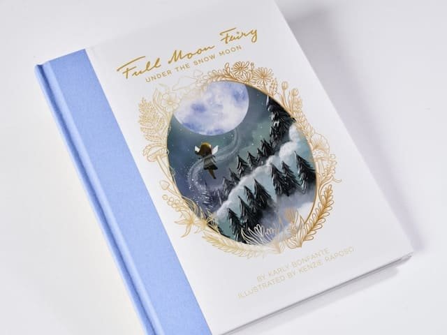 couverture roman fantasy illustration immersive