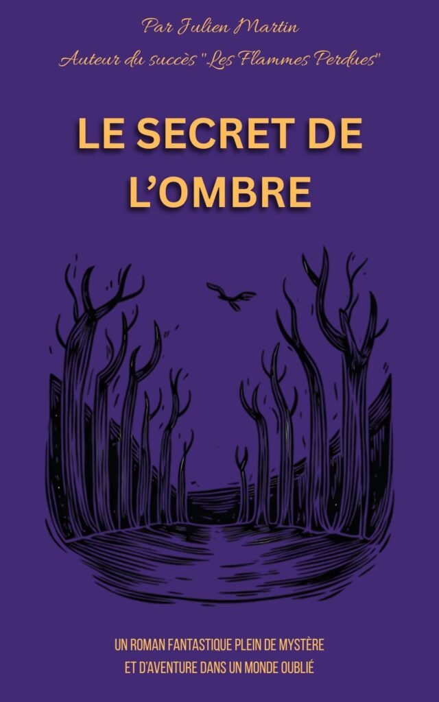 comparaison couverture de roman amateur et professionnelle