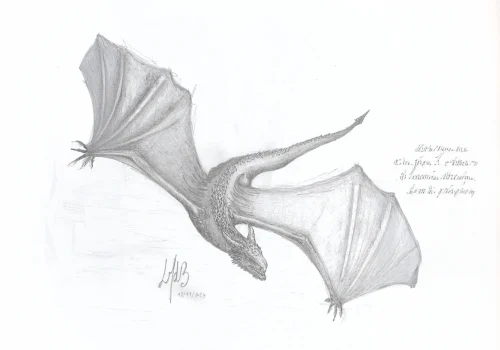 dragon en contre plongé